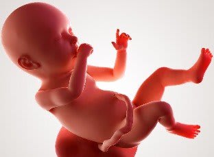 Zwangerschap 40 weken