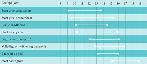 Grafiek Groei Jongens