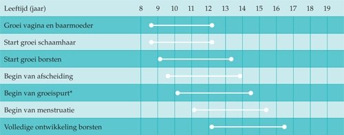 Grafiek veranderingen bij meisjes