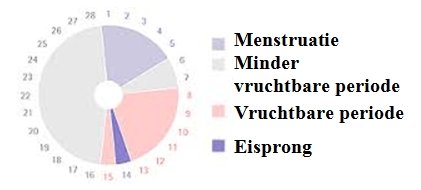 Duur Menstruele Cyclus